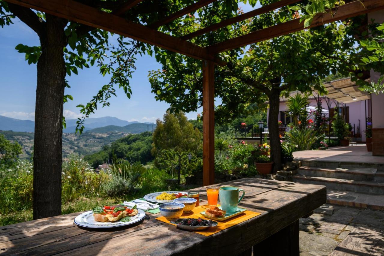 B&B Albachiara Casa Di Campagna Ogliastro Cilento Luaran gambar