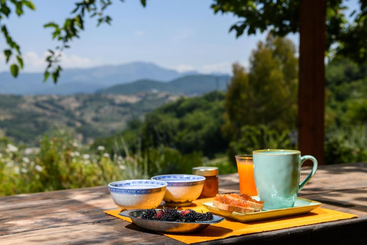 B&B Albachiara Casa Di Campagna Ogliastro Cilento Luaran gambar