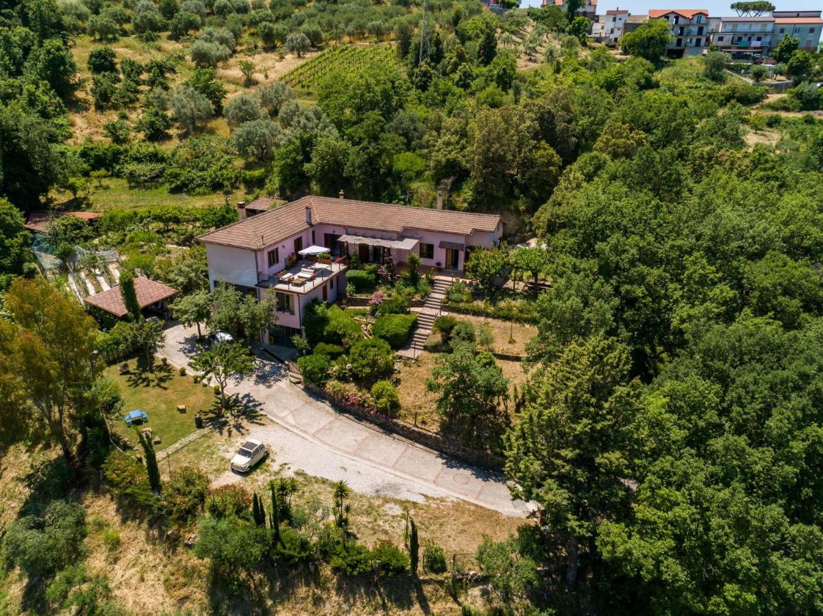 B&B Albachiara Casa Di Campagna Ogliastro Cilento Luaran gambar