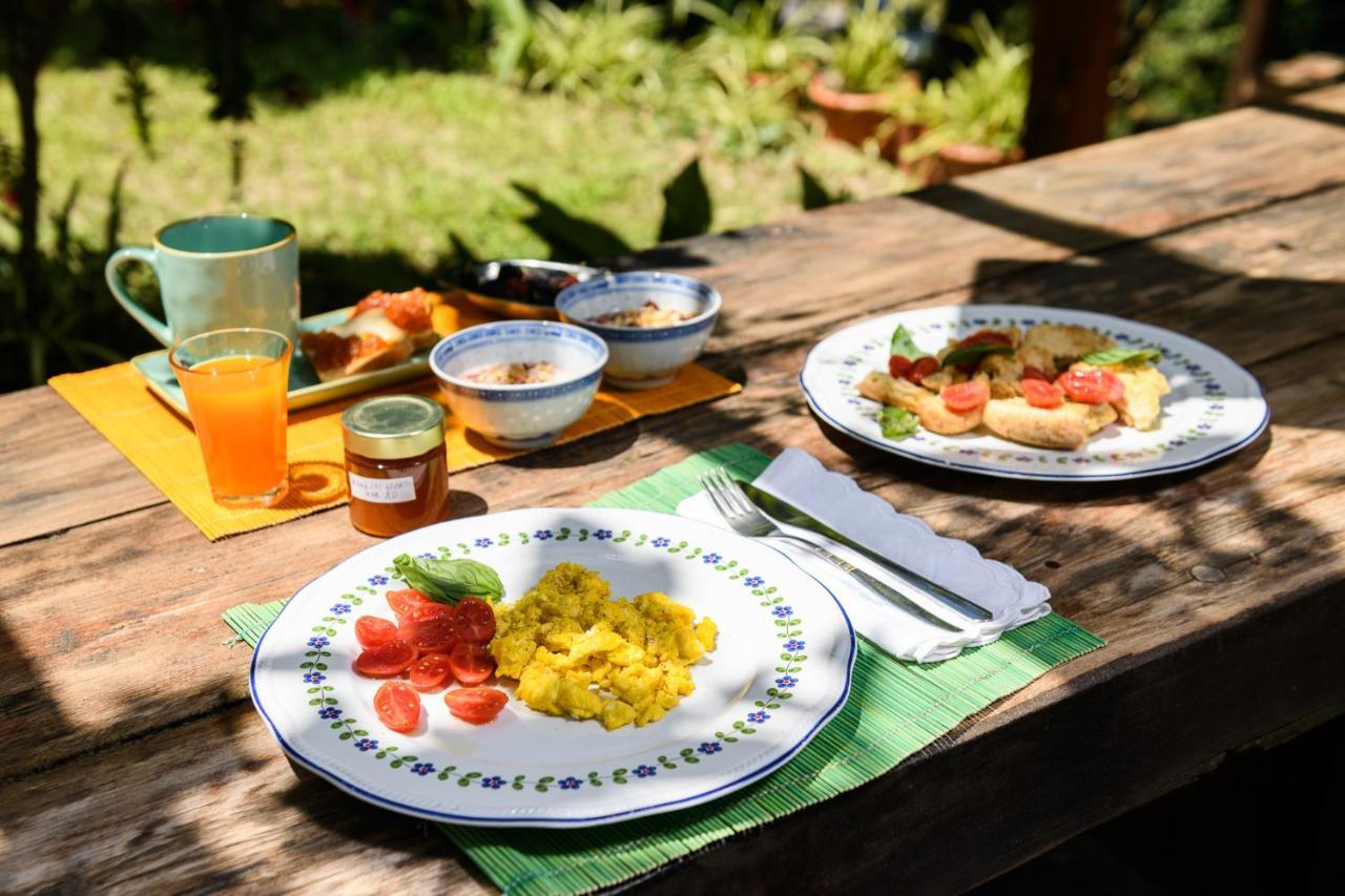 B&B Albachiara Casa Di Campagna Ogliastro Cilento Luaran gambar