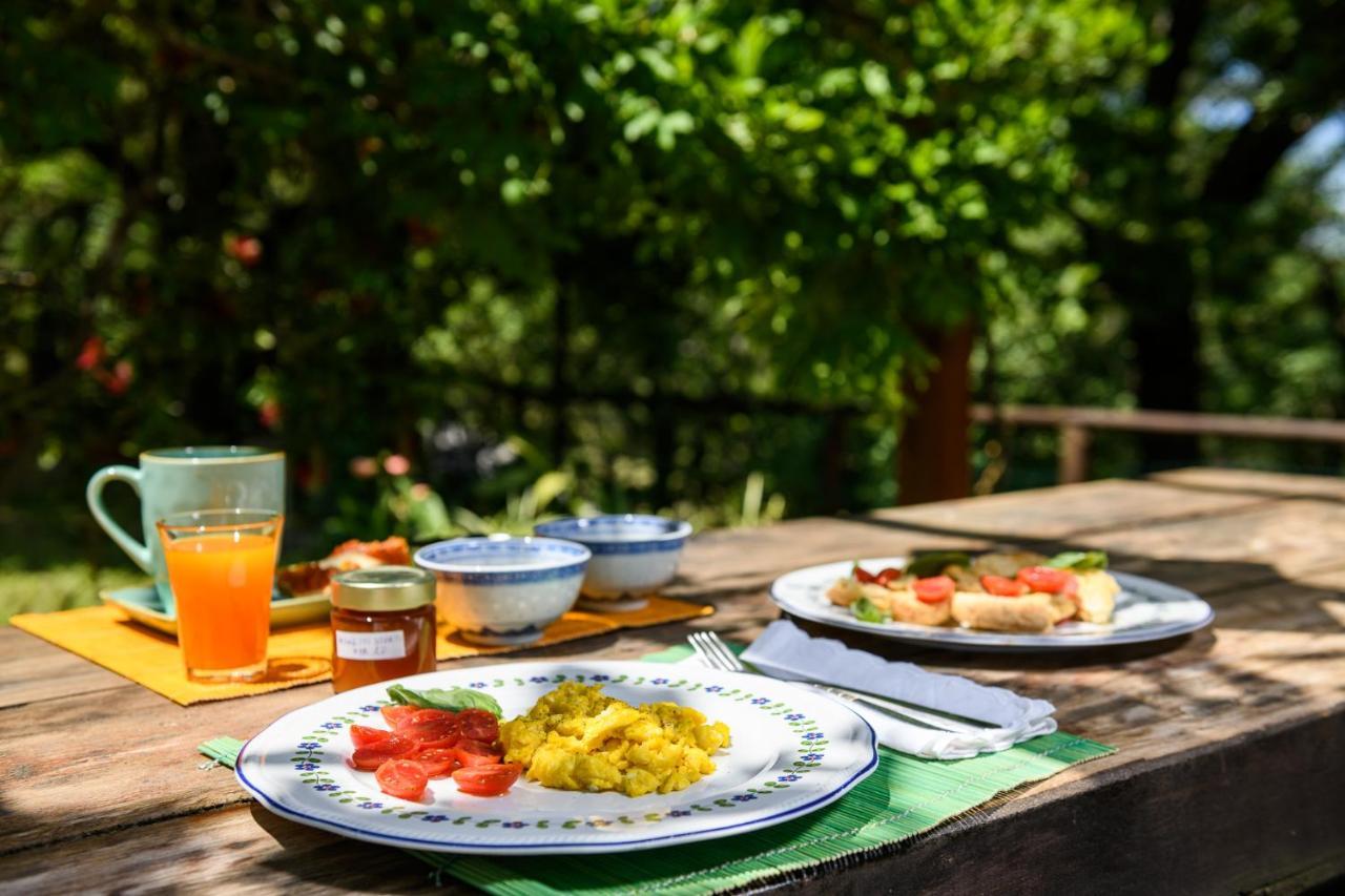 B&B Albachiara Casa Di Campagna Ogliastro Cilento Luaran gambar
