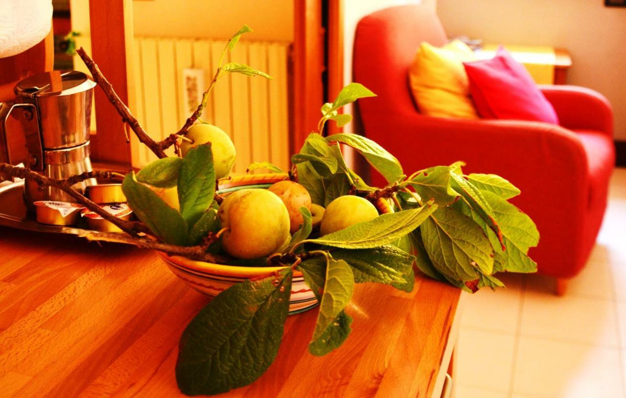 B&B Albachiara Casa Di Campagna Ogliastro Cilento Luaran gambar