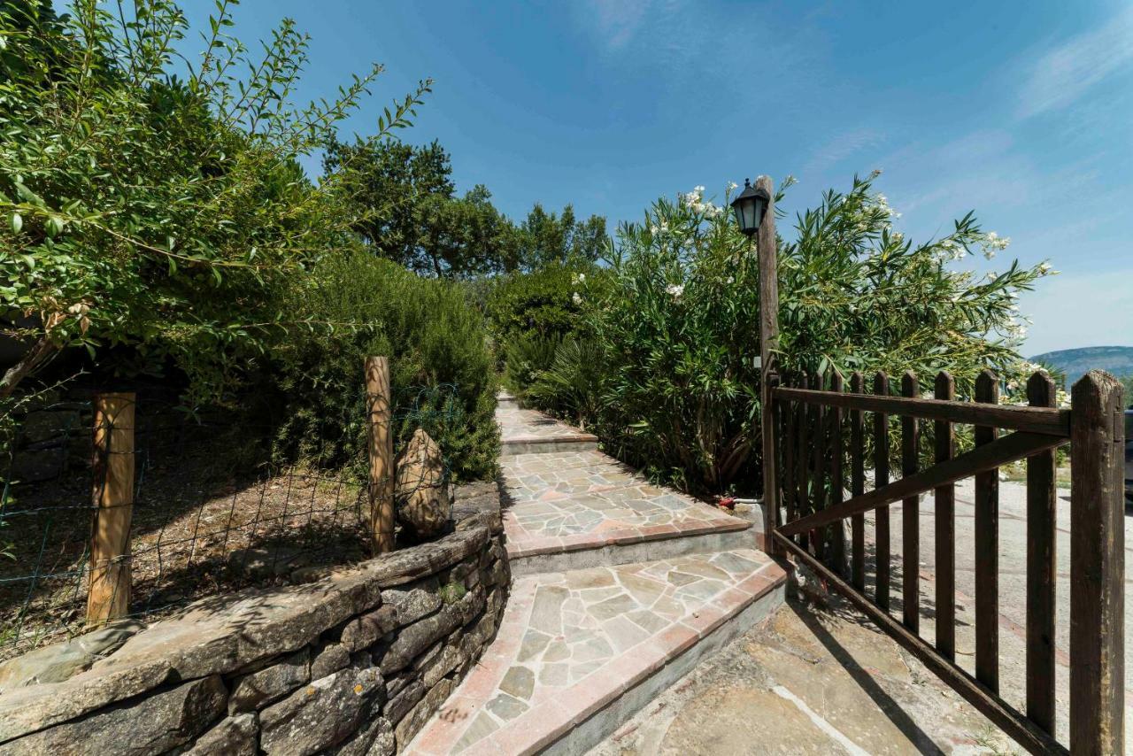 B&B Albachiara Casa Di Campagna Ogliastro Cilento Luaran gambar