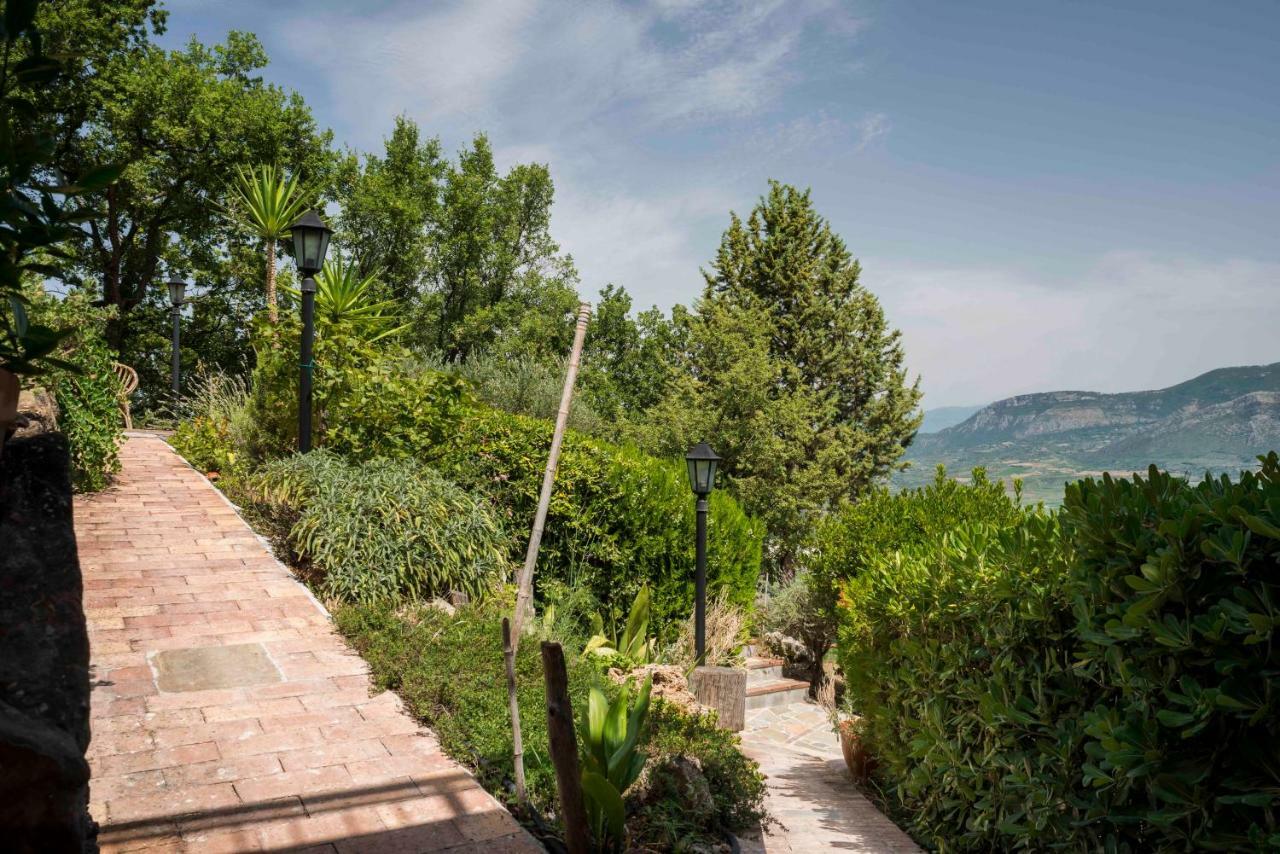 B&B Albachiara Casa Di Campagna Ogliastro Cilento Luaran gambar